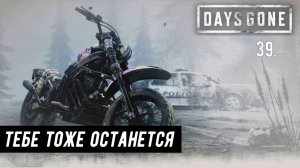 Прохождение Days Gone (Жизнь после). Часть 39: Тебе тоже останется. Уничтожить орду на лесопилке.