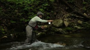 Learn to Fly Fish with Tom Rosenbauer