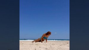 VID_48760415_070604_823.mp4