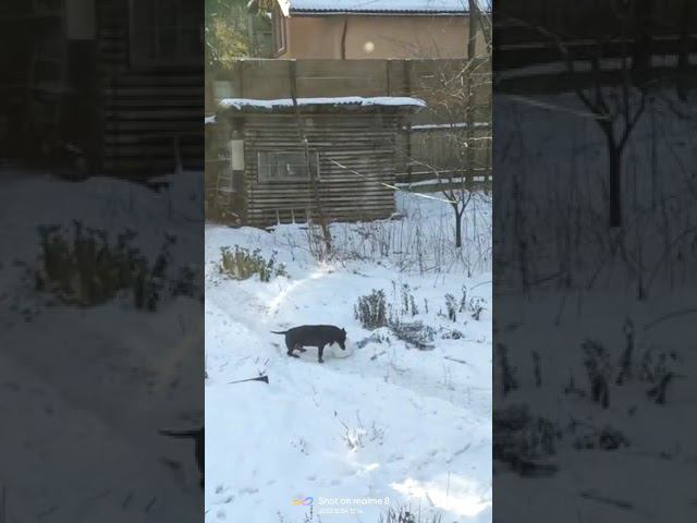 4 декабря 2022 г. смотреть онлайн