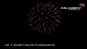 5 30   5  GOLDEN TI WILLOW TO CRACKLING PIS