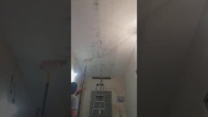 Стеклохолст///Поклейка стеклохолста на потолок один///