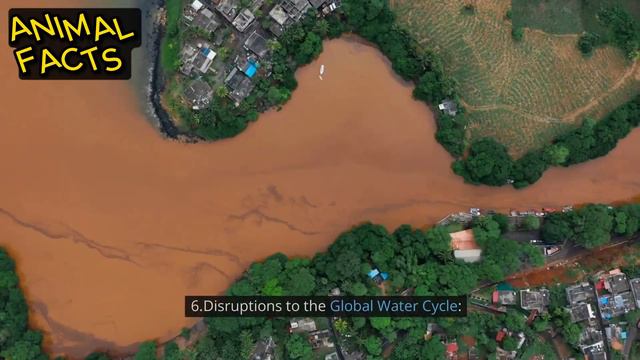 Amazing Facts: The Alarming Impacts of Ocean Water Losing Its Salinity смотреть онлайн