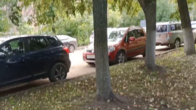 Купил Дачу оформил документы в МФЦ в реестре на участок дом/испытываю сильное волнение при получени смотреть онлайн