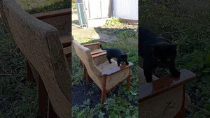 Советские кресла.