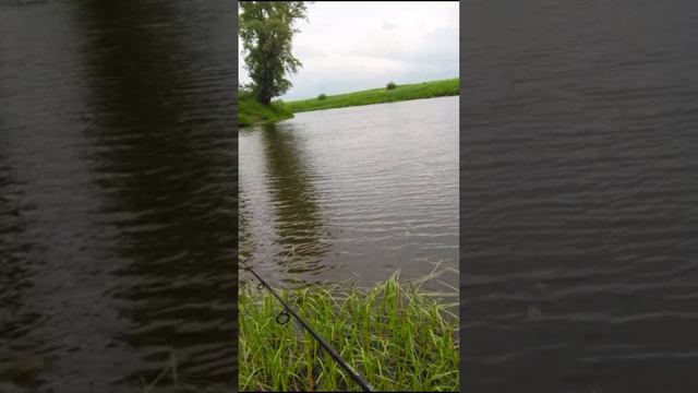 Полное видео на канале: РЫБОЛОВНОЕ ПРИКЛЮЧЕНИЕ ловля щуки и окуня спиннингом смотреть онлайн