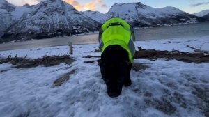 Рождественские традиции в Норвегии. Как отмечают Рождество норвежцы #норвегия #жизньвнорвегии