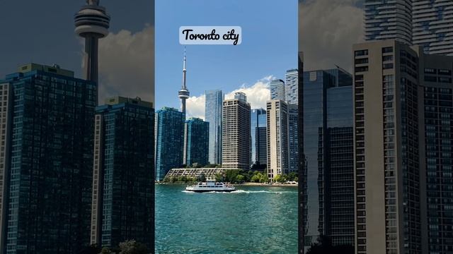 Toronto skyscrapers . Towers . CN Tower. #toronto #torontocity #today #youtubeshorts #canada #life