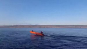 Отзыв о катабайде БайдБот 3Ф