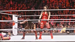 The Bella Twins MV Home