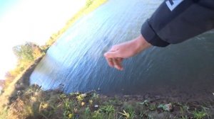 Рыбалка с берега на спиннинг. Река Иж. Поймали все.