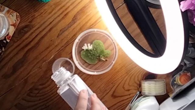 подставка для кружки из эпоксидной смолы смотреть онлайн