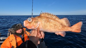 ОТКРЫЛИ СЕЗОН МОРСКОЙ РЫБАЛКИ В БАРЕНЦЕВОМ МОРЕ 2022 / SEA FISHING IN THE BARENTS SEA 2022