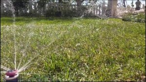 MP Rotator в действии