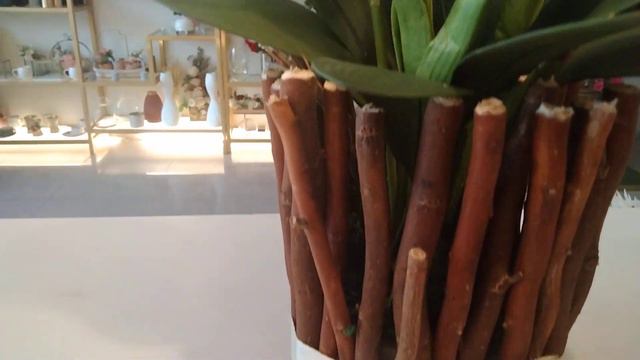 FLOWERS ARRANGEMENTS anthurium with tulips white flowers 🌷🌹 ALAN CANDO channel 🌷 смотреть онлайн