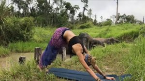 VINYASA POWER FLOW CLASS/I CAMBODIA WILDLIFE SANCTUARY