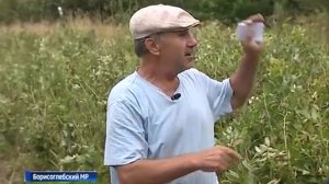 Моё простое Земляделие от Рязанцева В.В.