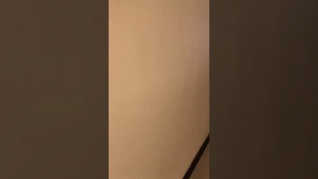 Pandanus Resort 2020 смотреть онлайн