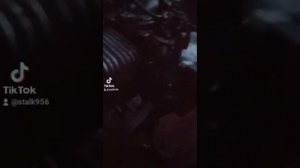 Двигатель от скутера 2т после капремонта. Капитальный ремонт ДВС делал не я а прошлый хозяин.