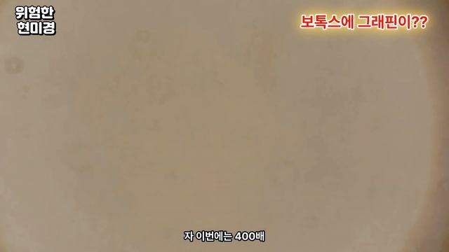 보톡스  현미경 검사 #보톡스