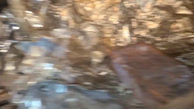 🐍 Спасение змеек из погреба. Доспать до весны спокойно не дали, изверги)) смотреть онлайн