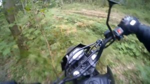 Вдвоем на мотоцикле по лесу. Последняя покатушка в 2016.