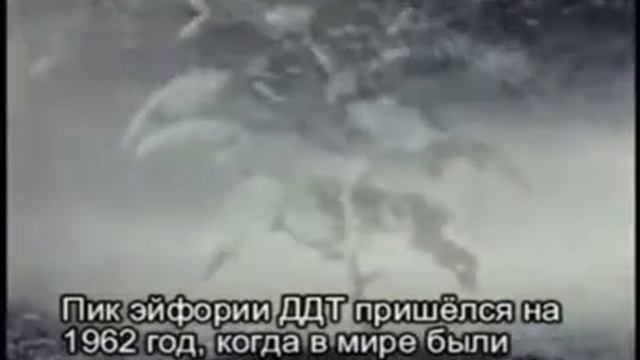 Применение пестицида ДДТ