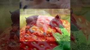 Песенка_про_поросят.mp4