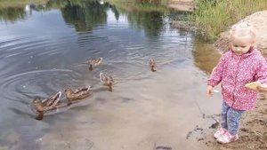 Гордей и Марья кормят уток. Дети и утки на озере.