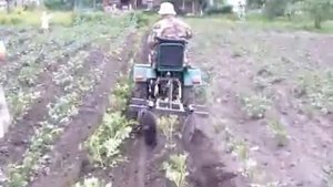 окучиваем картошку самодельным минитрактором