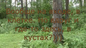 Идём на Камышлинский водопад через подвесной мост. База отдыха «Царская Охота»