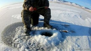 Зимняя рыбалка   Гусинное озеро - Бурятия