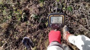 Медные монеты возле деревни. Поиск монет на китайский металлоискатель Tianxun TX-850