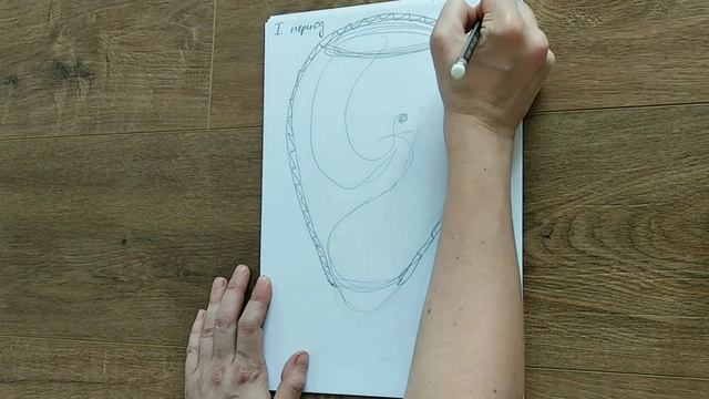 Как проходят роды? Что чувствует женщина в родах? Естественные, здоровые роды. Як проходять пологи?