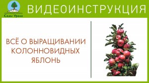 Колонновидные яблони - посадка и уход. Телепередача Земля Уральская. Архив 2011 год