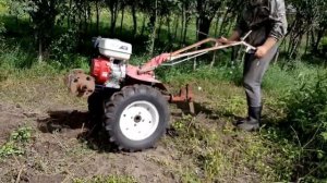 копаем картошку мотоблоком
