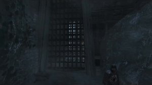 Прохождение Assassin's Creed:Revelations на 100% "Некий дневник"