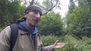 Чем можно питаться  в лесу,если заблудился.