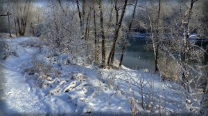 Волк пожалел девочку и ее отца. Стая волков. Таежные истории. Аудио рассказы про животных