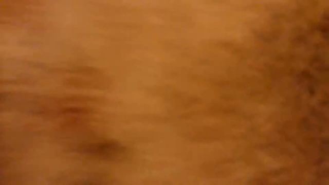 Мой русалочий хвост смотреть онлайн