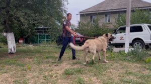 Барбос брат Дона