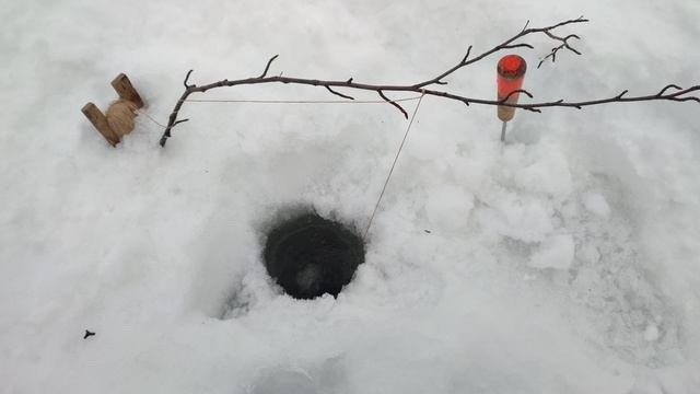жерлица сработала
