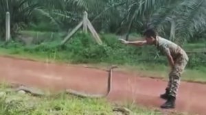 Мем My name is Giovanni Giorgio but. Just like that (Джованни Джорджио)