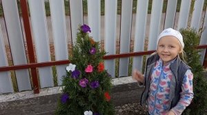 Как цветёт туя. Шикарное цветение Туй.