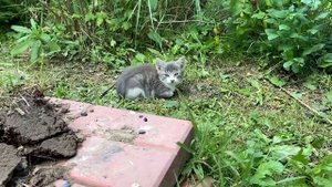 Бюджетное ландшафтное освещение I Светильники в грунт своими руками