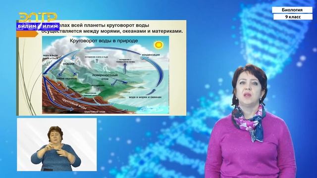 9-класс | Биология | Биогеохимический круговорот как основа существования биосферы
