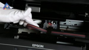 Как установить СНПЧ на Epson XP-330? Подробная инструкция