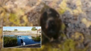 Поездка на водопад близ деревни Навашино. 4 июля 2020 года