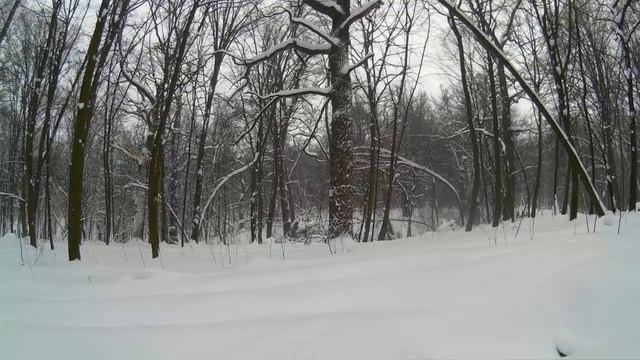 Релакс музыка relax зимний лес, падает снег смотреть онлайн