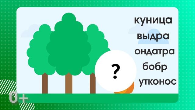 Нескучные уроки: Решаем задачи по окружающему миру  || Умназия смотреть онлайн